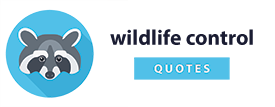 free wildlife control quotes